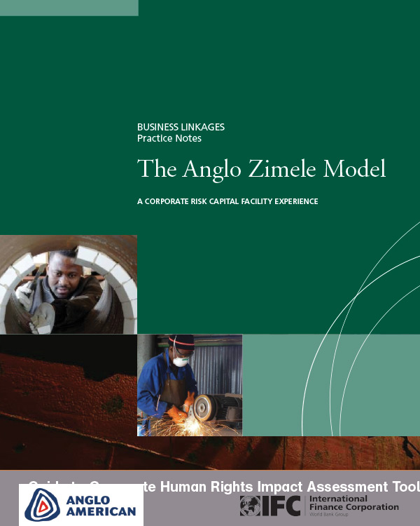 The Anglo Zimele Model