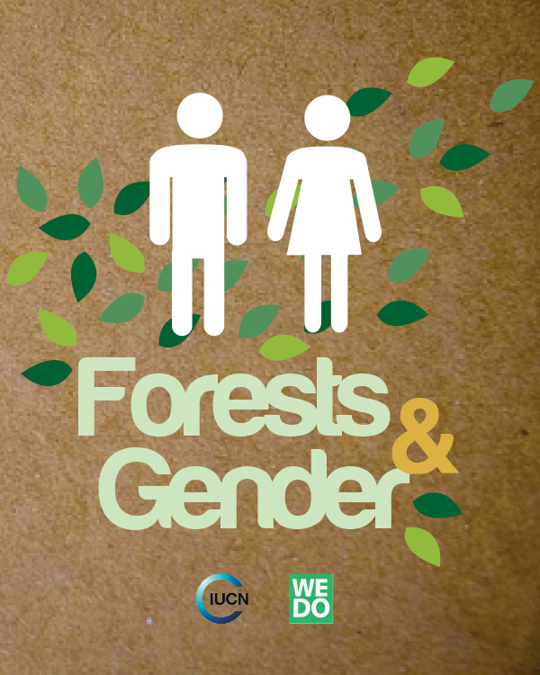 Forests and Gender