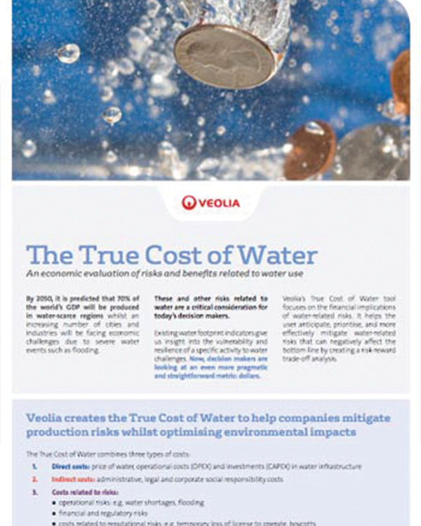 Veolia: The True Cost of Water