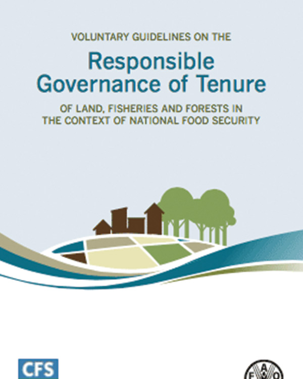 Voluntary Guidelines on the Responsible Governance of Tenure