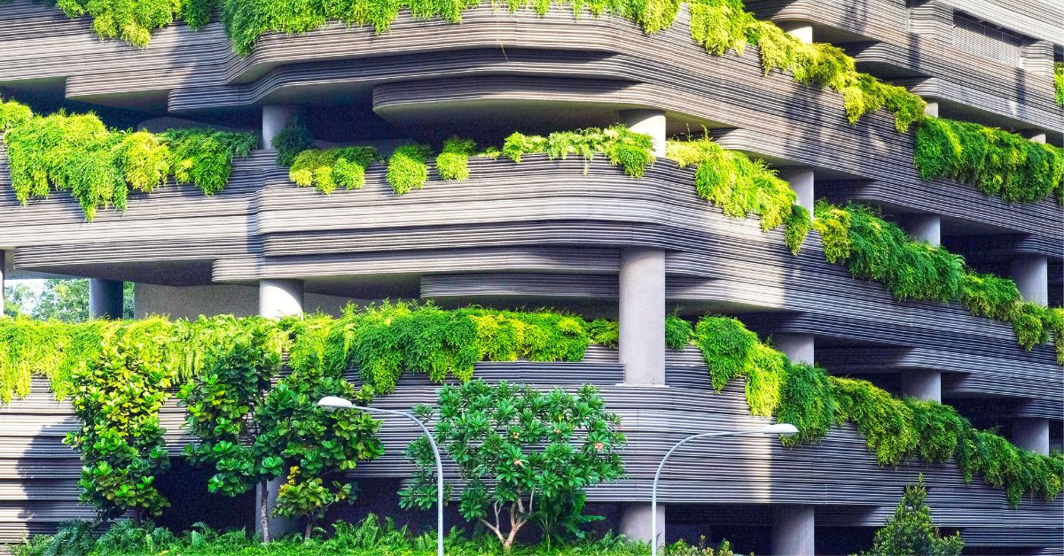 Potential Role of Nature-Based Infrastructure (NBI) in Sustainable Cities